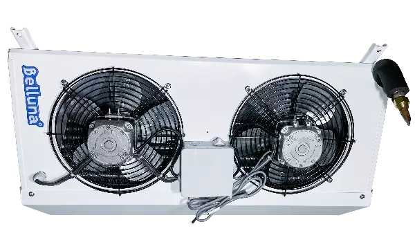 Belluna U101